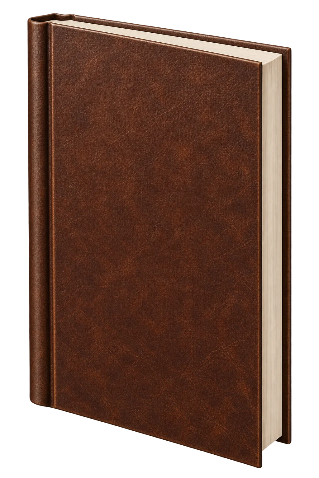 Brown leather-bound book